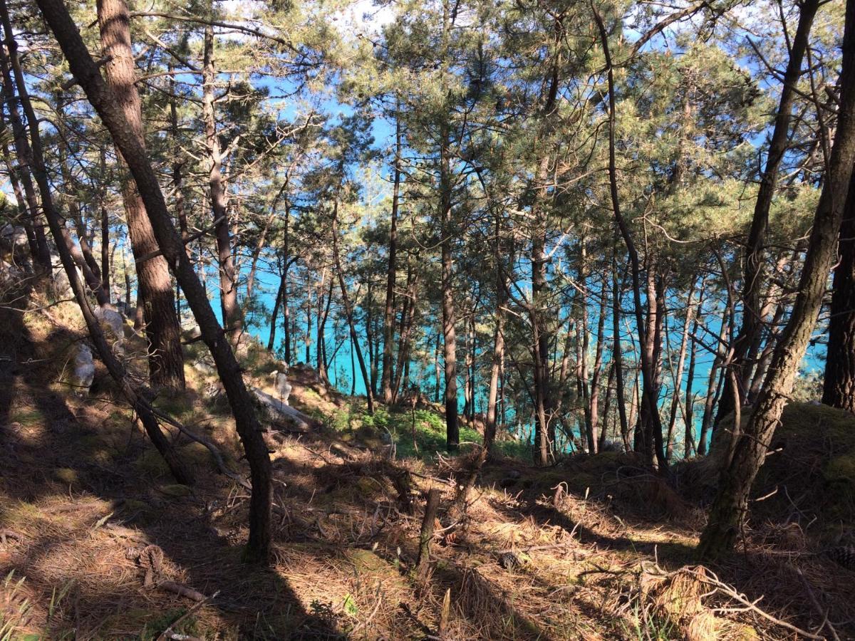 Une terrasse sur la mer Crozon Esterno foto